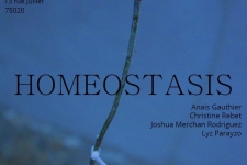 Homeostasis - !Exhibition, IESA arts&culture, Art school in Paris