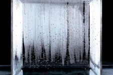 Now You've Killed Me, I'm Alive by PHILIPPE PARRENO and QUASI-OBJECTS